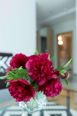 Апартаменты ForRest Apartments Вильнюс Апартаменты с 2 спальнями-6